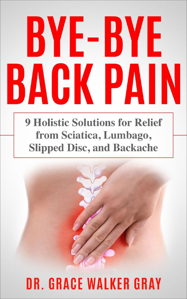 Bye Bye Back Pain book cover